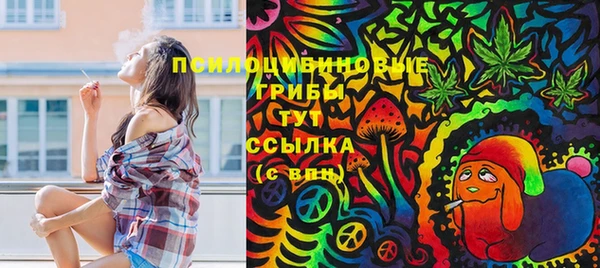 амф Верея
