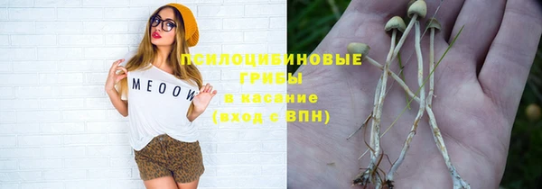 амф Верея