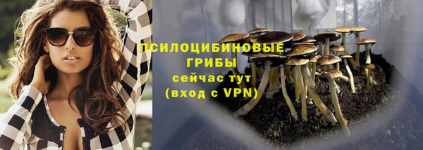 амф Верея